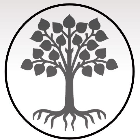 Moneyplant financials - Insurance Agent in Nashik